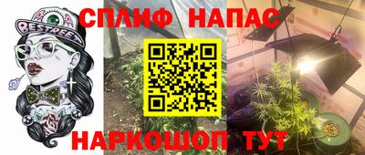 прущие грибы Малгобек