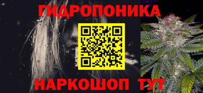прущие грибы Малгобек