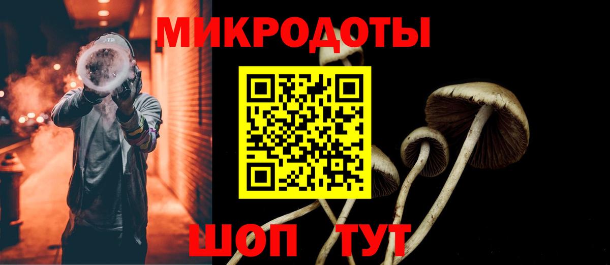 цены наркотик  Галлюциногенные грибы мухоморы  Вход с VPN  Сланцы 
